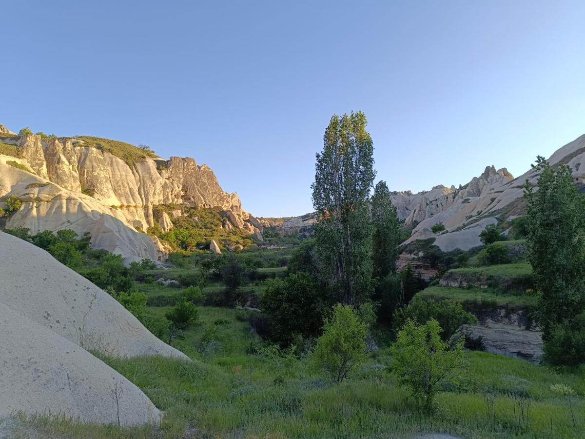 Sah Saray Cave Suites Halal Hotel Göreme Exteriér fotografie